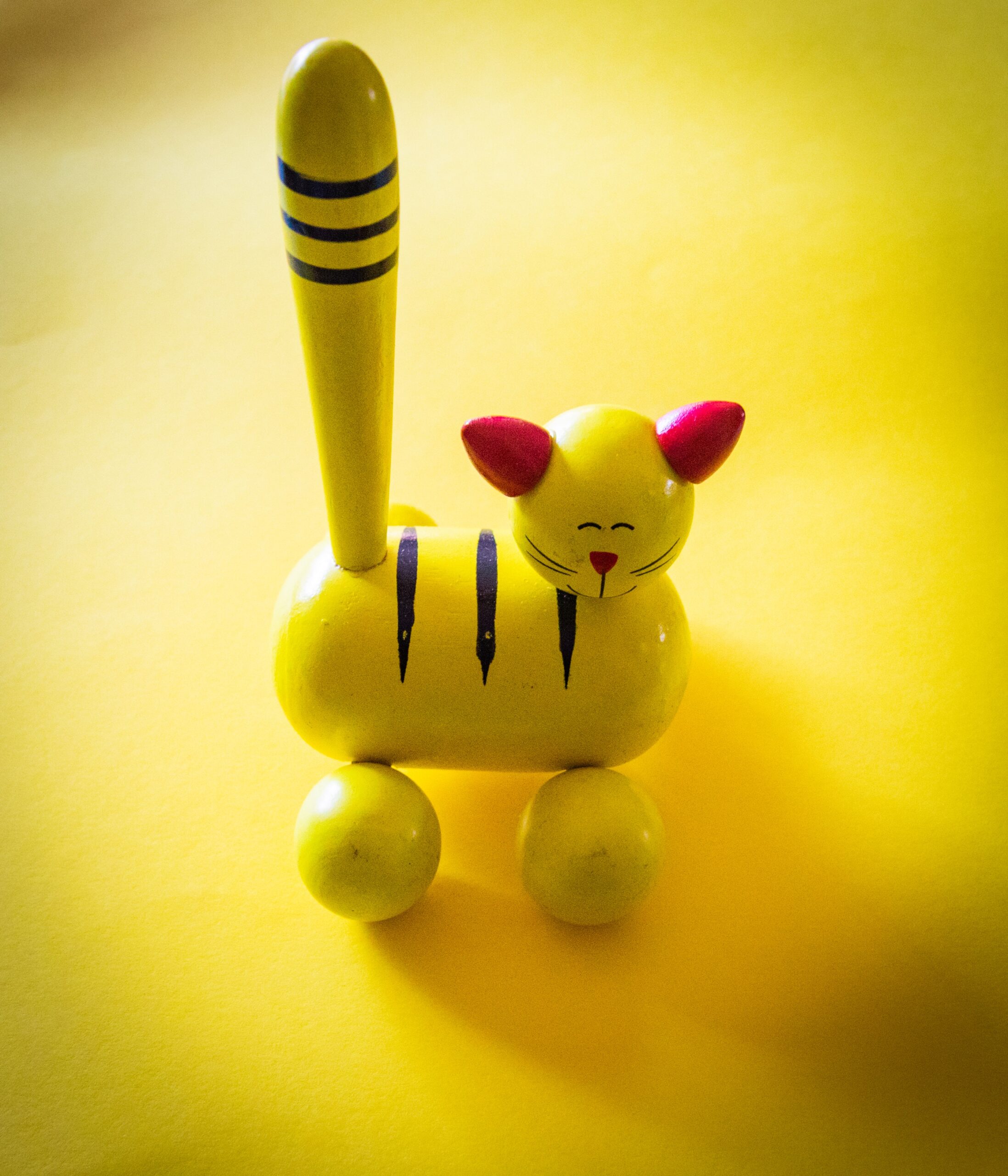 Yellow Kitty Yellow Kitty